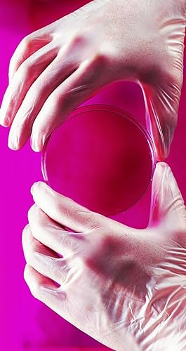 VPF236 VPF 3.5 mil Vinyl Powder Free Exam Gloves (Translucent, Large)