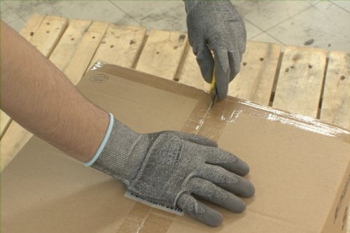 Polyurethane Palm Coated Glove with HPPE Liner, Medium
