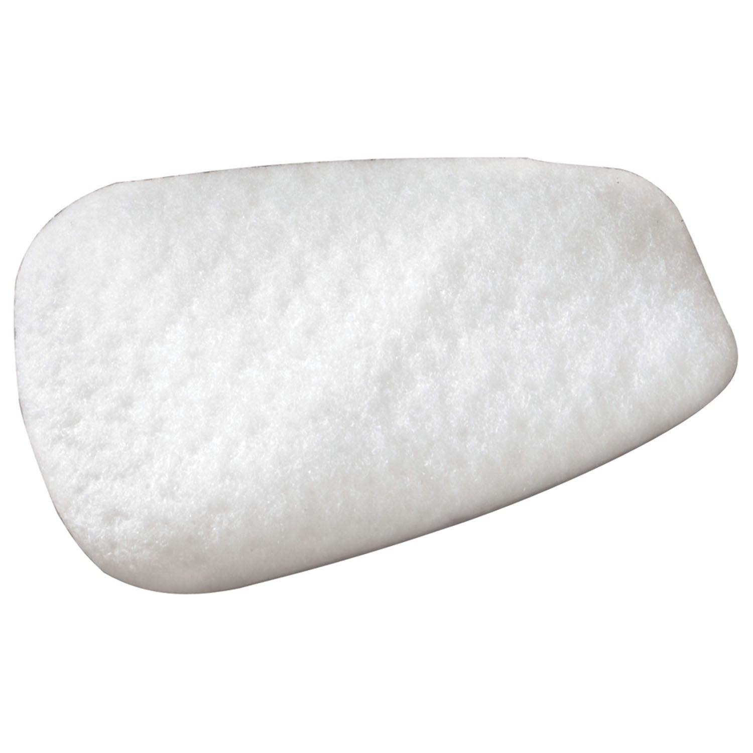 Particulate Filter Respiratory Protection