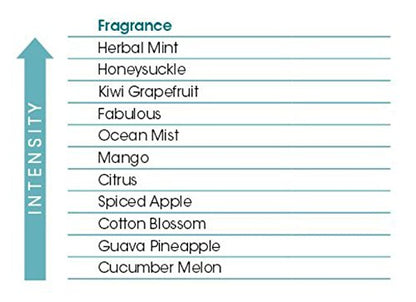 Room Air Freshener Cover Refill - Herbal Mint
