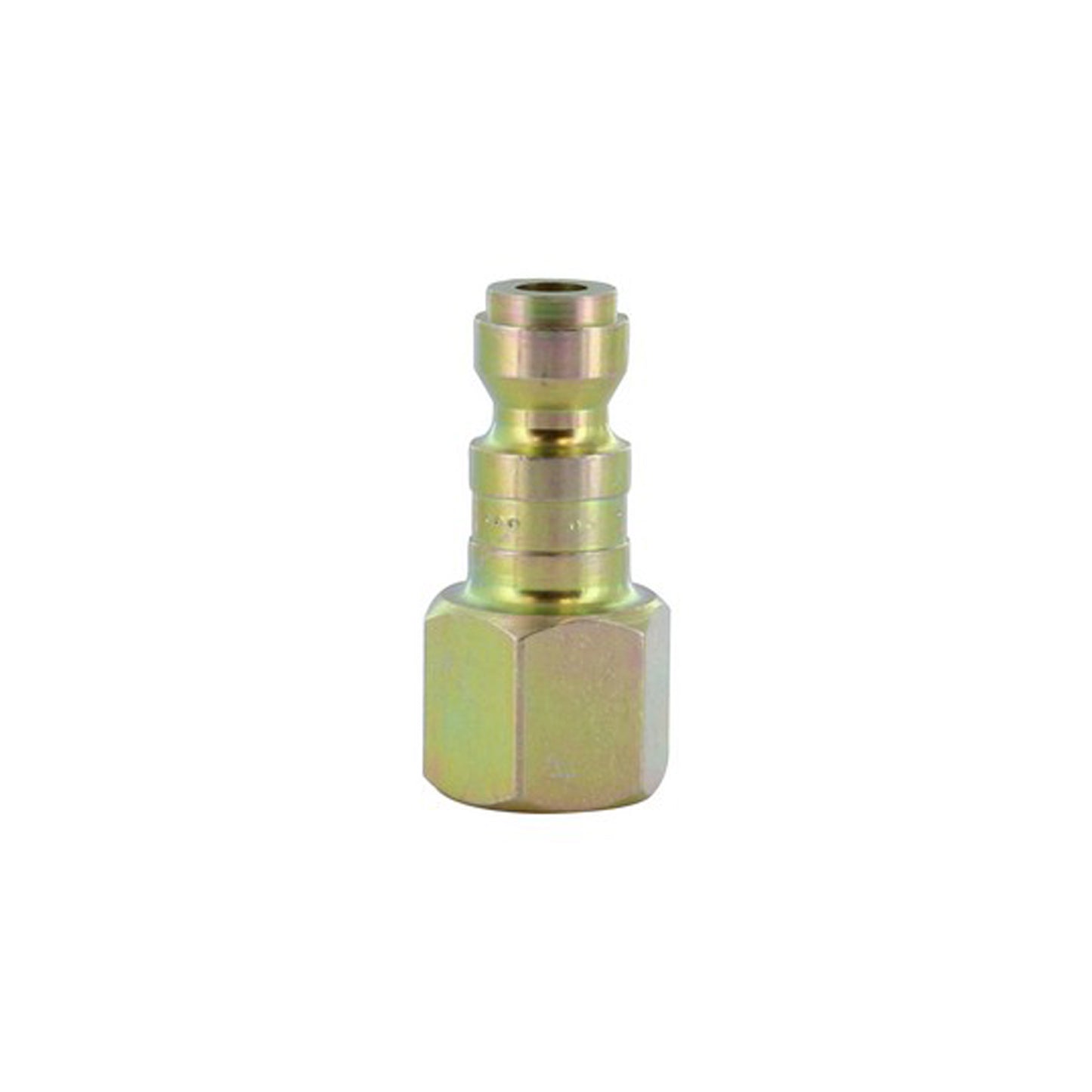 1/4 Inch Female T Style Brass Plug