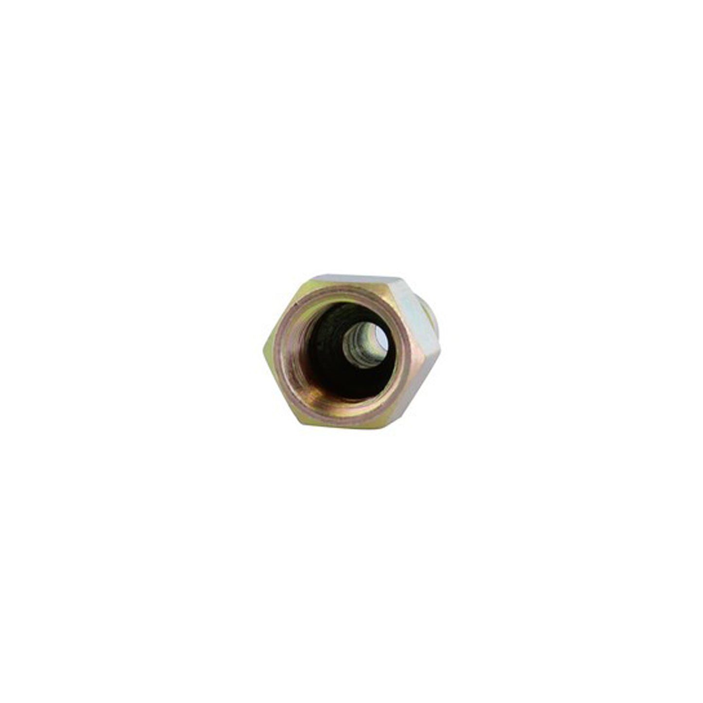 1/4 Inch Female T Style Brass Plug