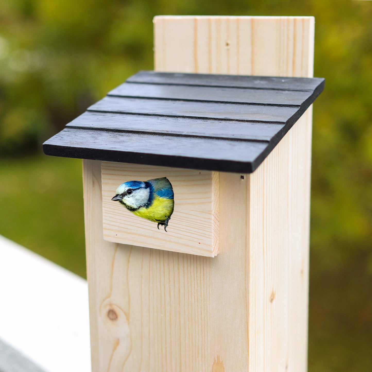 11.75in Unfinished Bird House Wood to Paint - 1pk Mounted Bird Houses