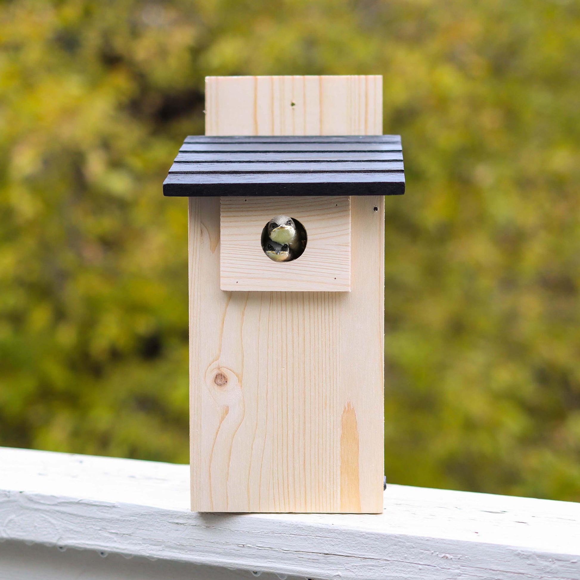 11.75in Unfinished Bird House Wood to Paint - 1pk Mounted Bird Houses