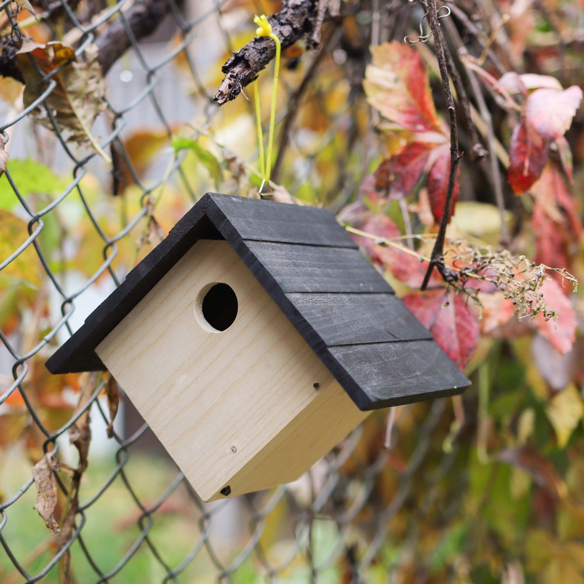 6in Unfinished Bird House Wood to Paint - 2pk Hanging Bird Houses