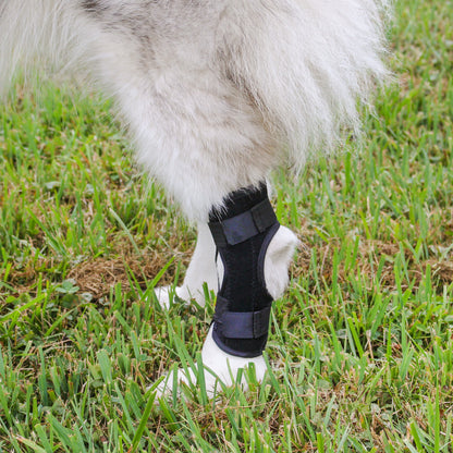 Rear Dog Leg Brace - 2pk Canine Hock Brace for Small to Medium Dogs