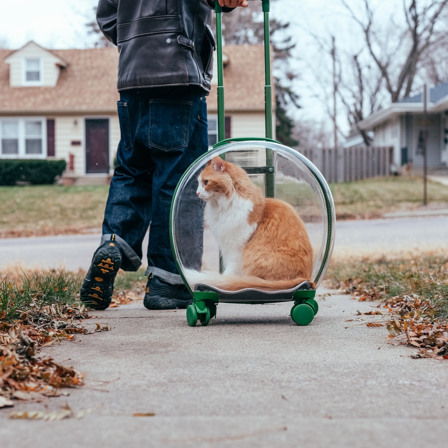 Clear Pet Carrier Trolley Case with Wheels - Small Rolling Pet Carrier