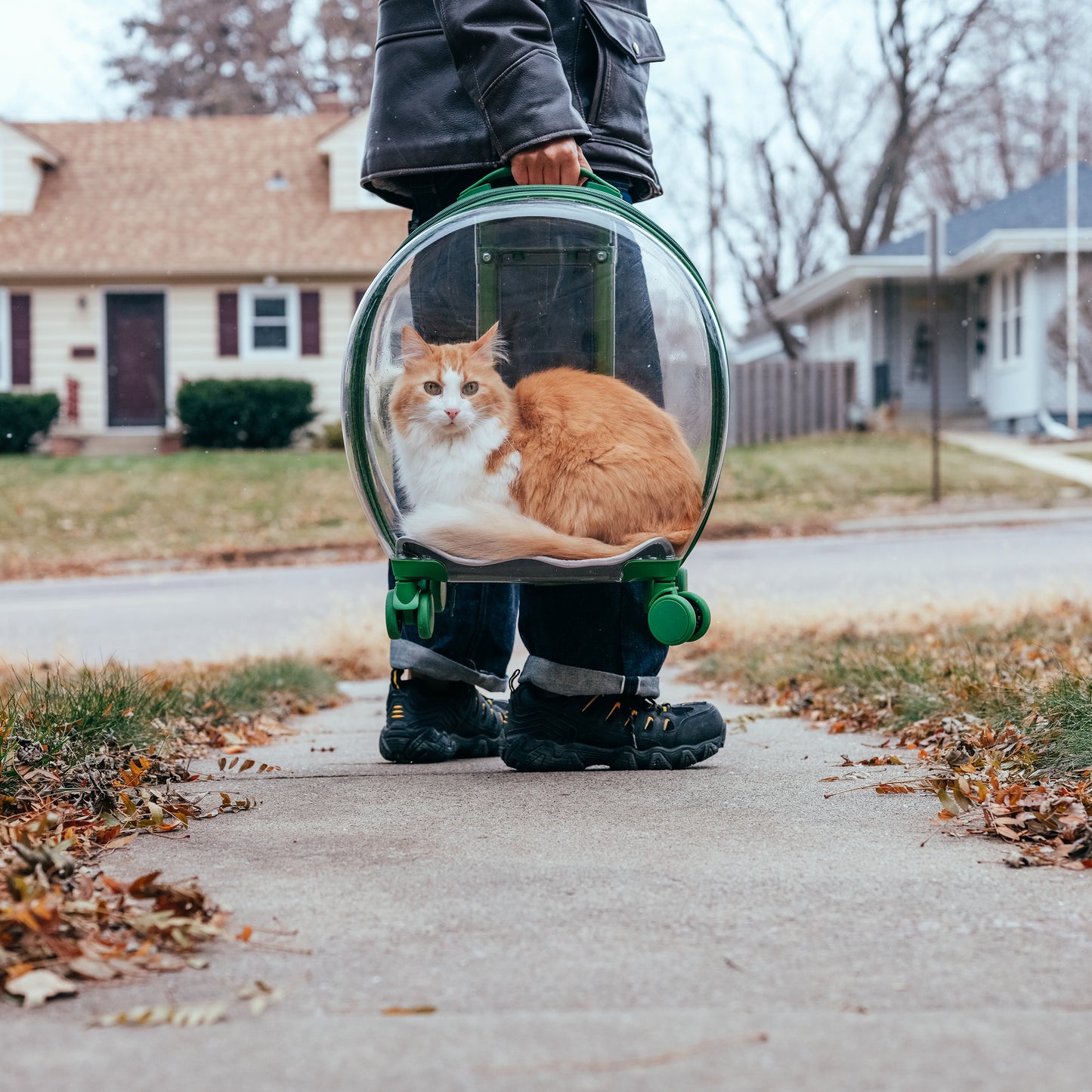 Clear Pet Carrier Trolley Case with Wheels - Small Rolling Pet Carrier