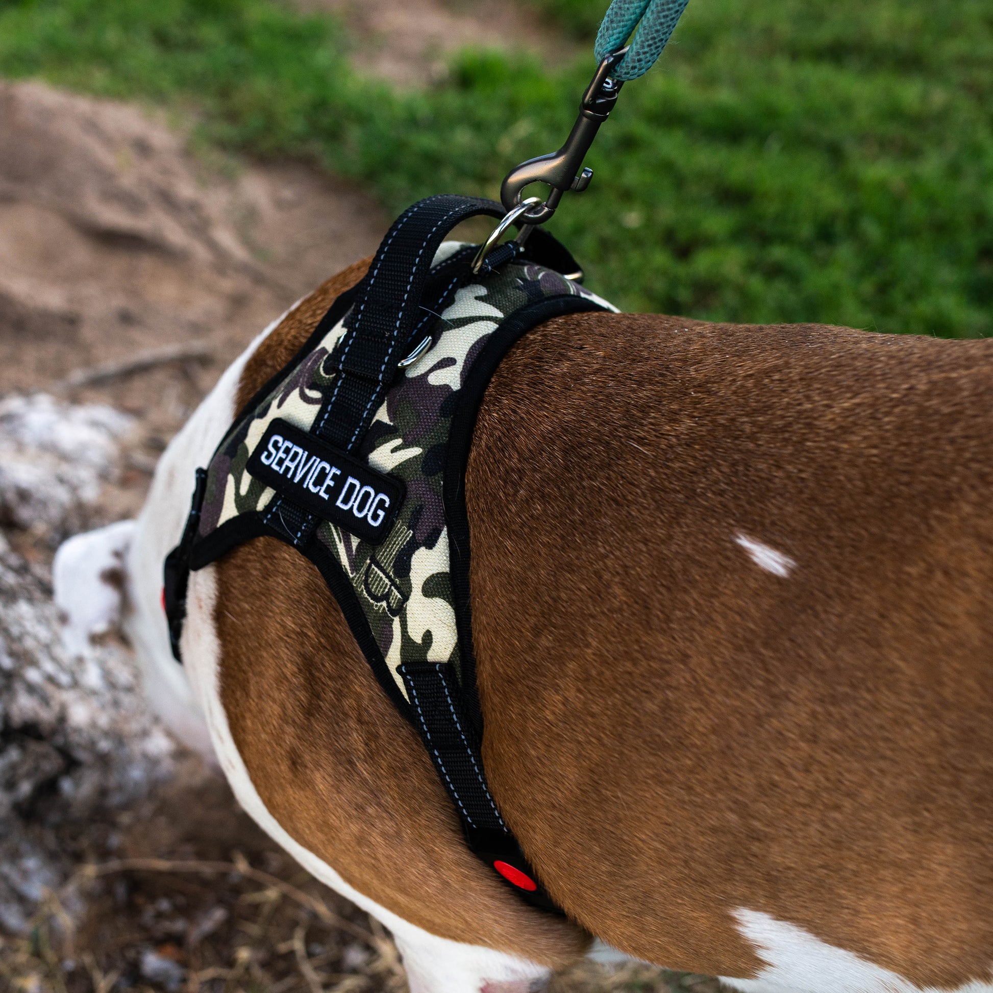 Service Dog Harness for Medium Breeds - Camo Vest Fits 20-25in Chest