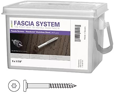 Stainless Steel Fascia Screws 9x1-7/8" T-20 Star Drive White 400 Pieces